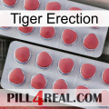 Tiger Erection 19